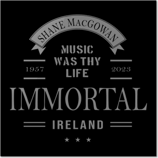 ND Shane MacGowan Ireland 1957 2023 Music D115 Posters and Art